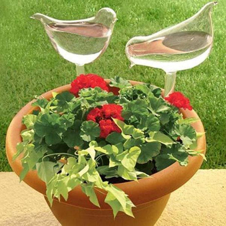 BowLift | Self-watering Plant Glass Bulb