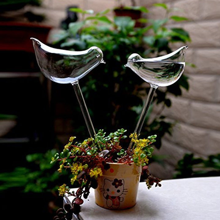 BowLift | Self-watering Plant Glass Bulb