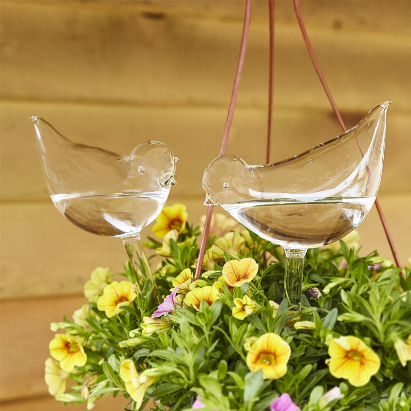 BowLift | Self-watering Plant Glass Bulb