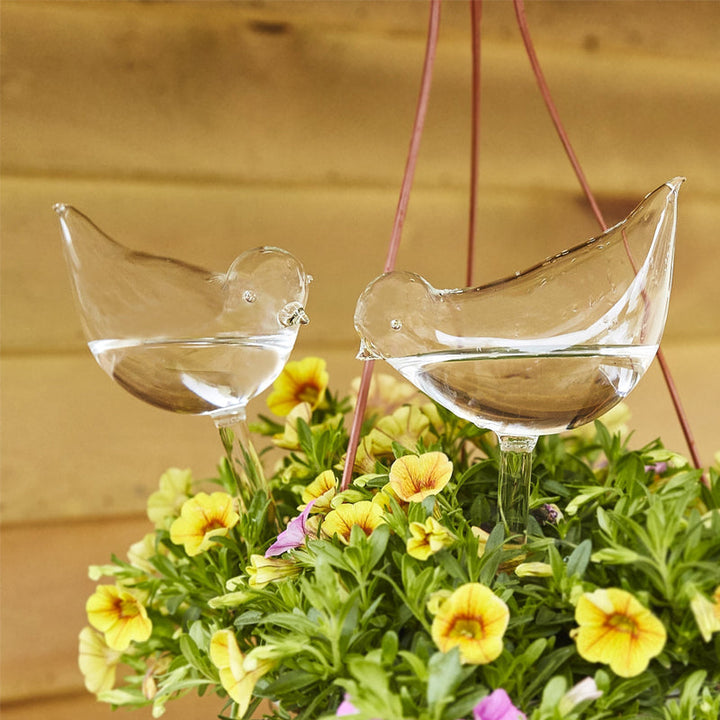 BowLift | Self-watering Plant Glass Bulb
