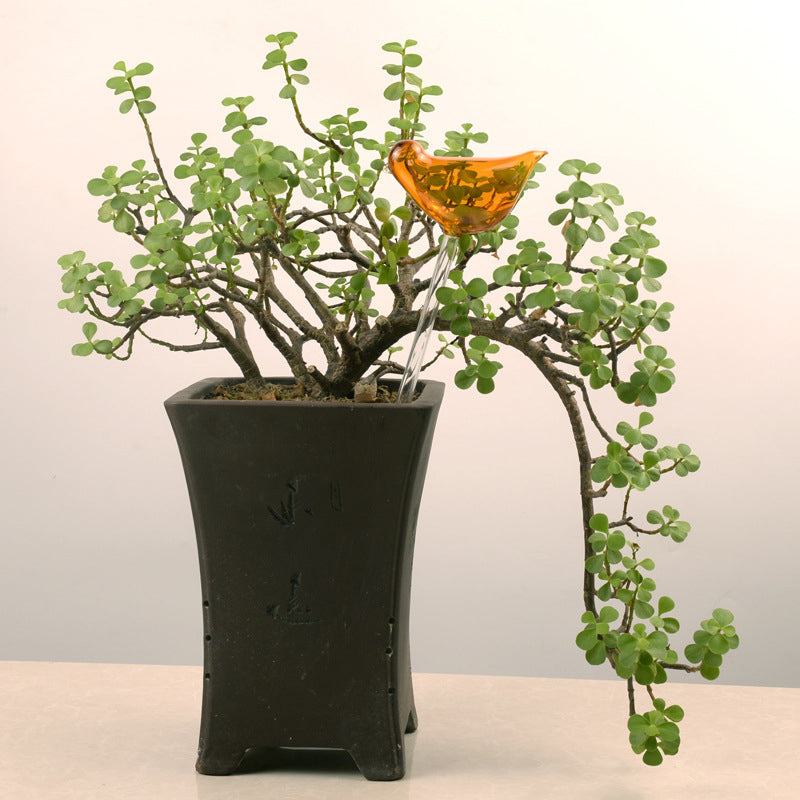 BowLift | Self-watering Plant Glass Bulb