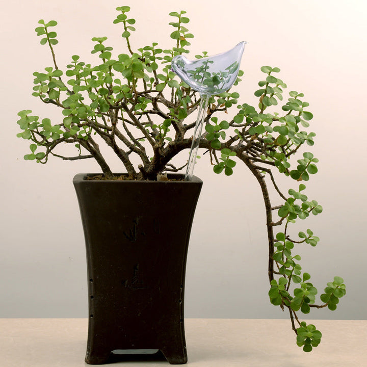 BowLift | Self-watering Plant Glass Bulb