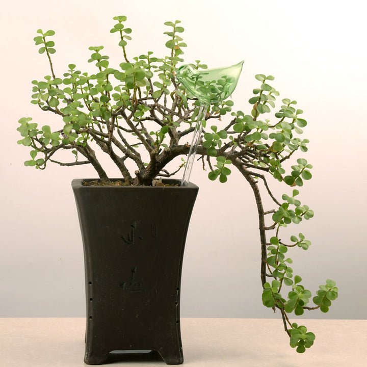 BowLift | Self-watering Plant Glass Bulb