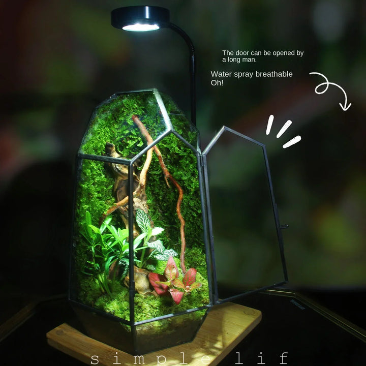 BowLift | Modern Geometric Nature-Inspired Botanical Terrarium