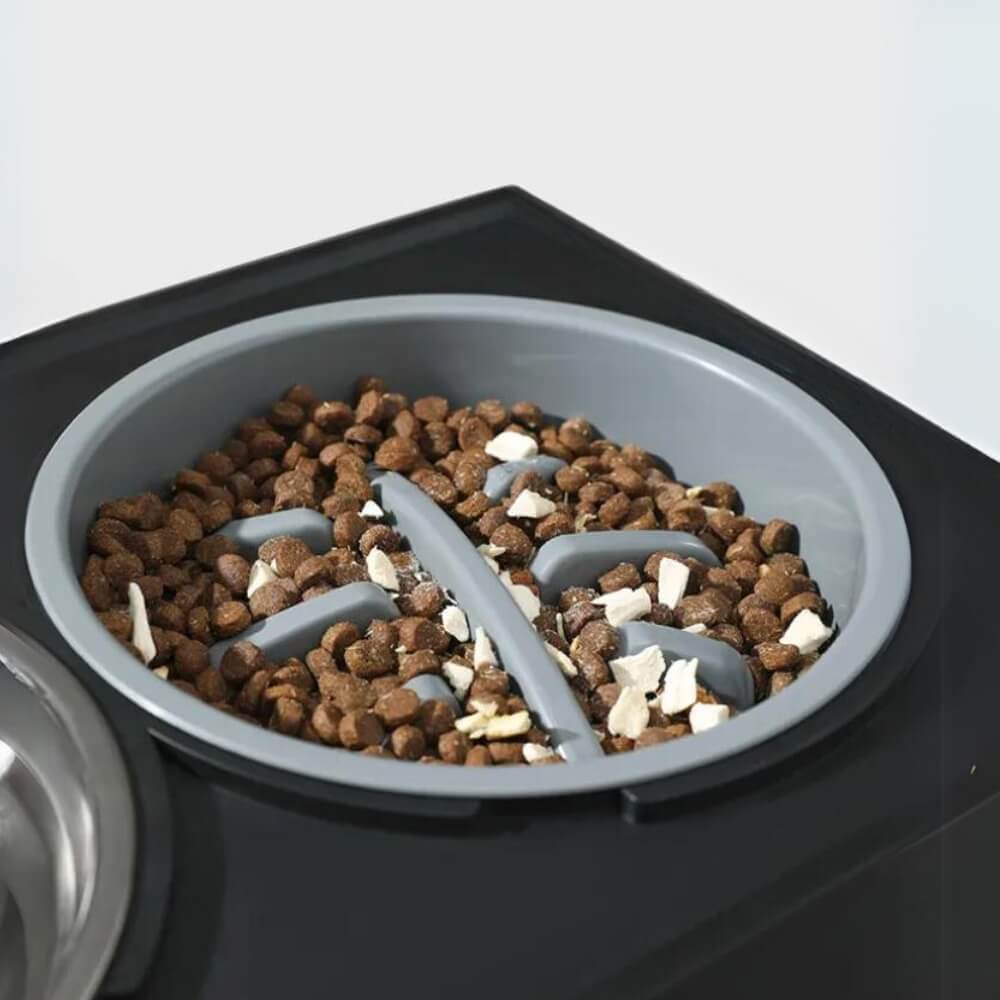 Slow Feeder Bowl for PupLift