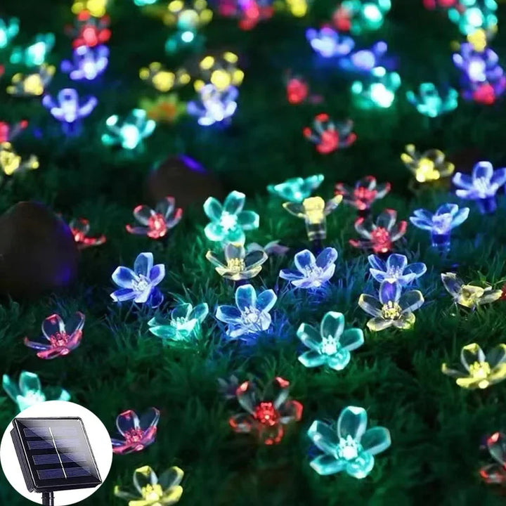 BowLift | Floral glow for every day in the garden