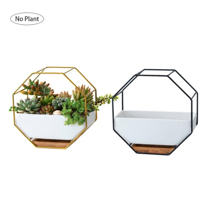 BowLift | Simple octagonal geometric wall-mounted table succulent plate bamboo support iron frame flower pot (Gold)