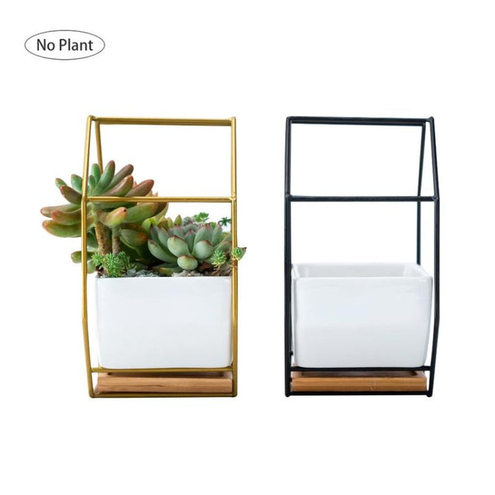 BowLift | Simple octagonal geometric wall-mounted table succulent plate bamboo support iron frame flower pot (Gold)