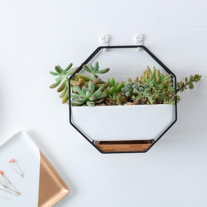 BowLift | Simple octagonal geometric wall-mounted table succulent plate bamboo support iron frame flower pot (Gold)