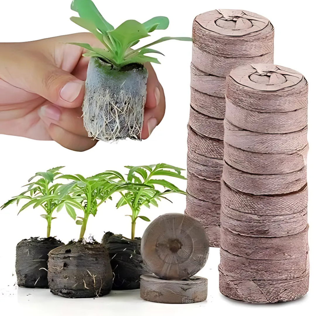 BowLift | Coconut Fiber Peat Seedling Pellets – Starter for Seed Planting