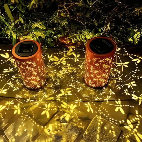 BowLift | Sunny Glow for Evening Explorers