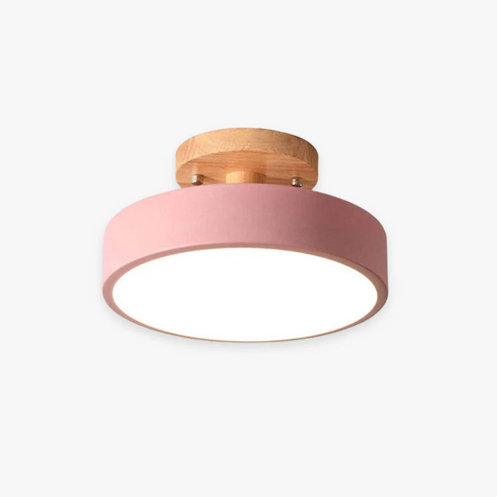 Stylish Modern LED Ceiling Lamp Bowlift