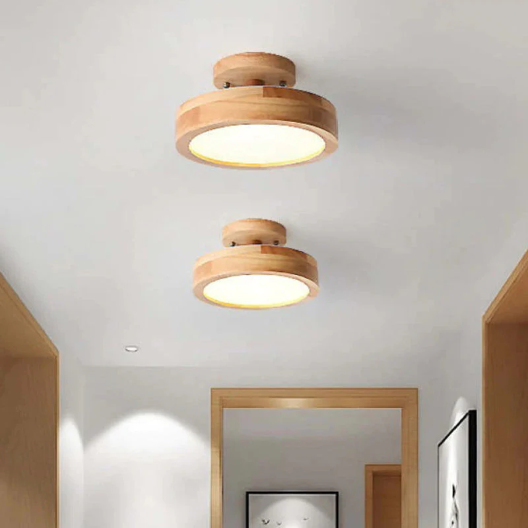 Stylish Modern LED Ceiling Lamp Bowlift