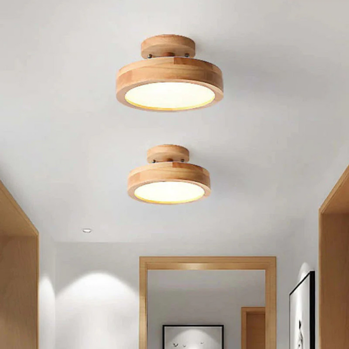 Stylish Modern LED Ceiling Lamp Bowlift