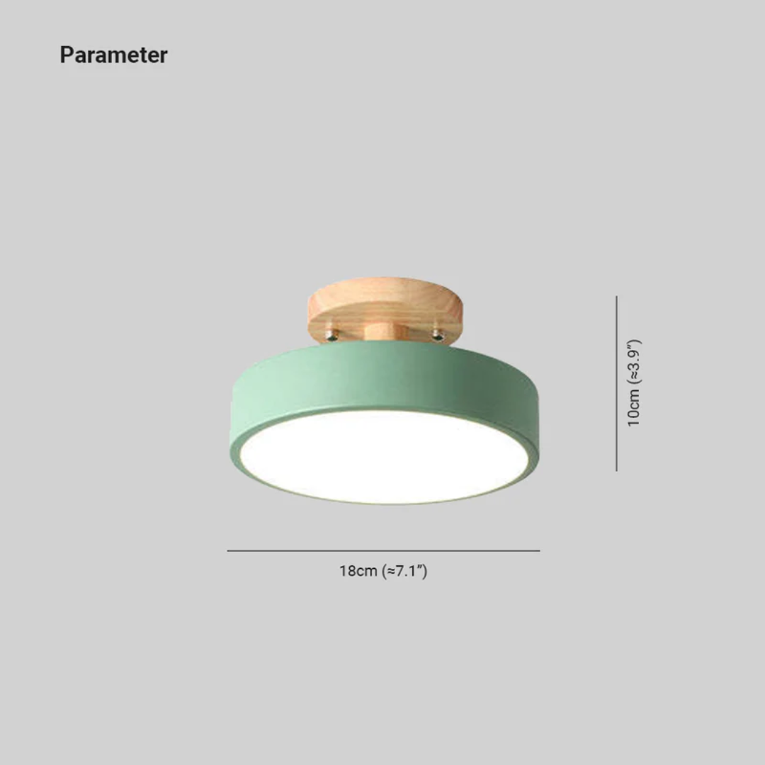 Stylish Modern LED Ceiling Lamp Bowlift