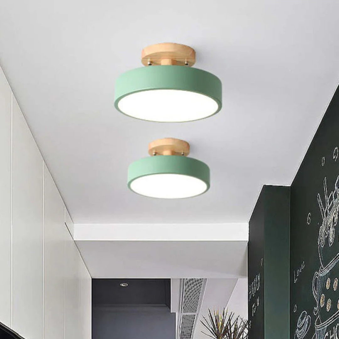 Stylish Modern LED Ceiling Lamp Bowlift