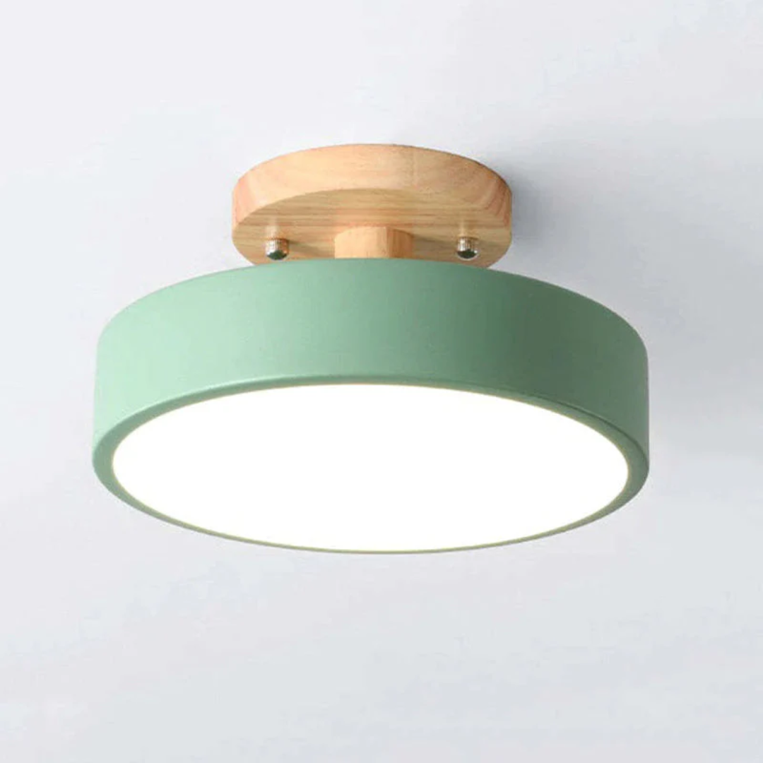 Stylish Modern LED Ceiling Lamp Bowlift