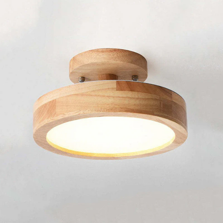 Stylish Modern LED Ceiling Lamp Bowlift