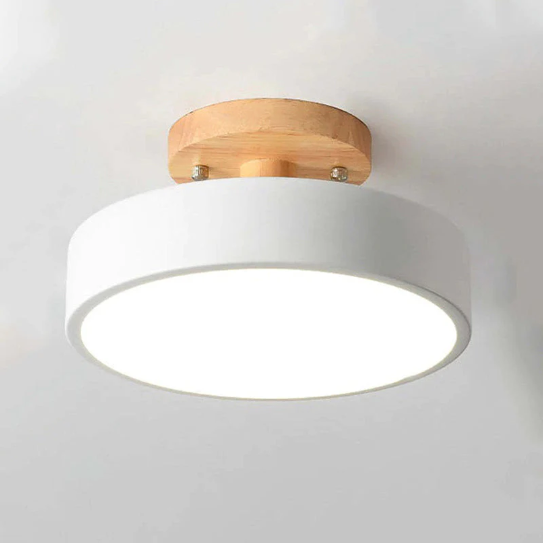 Stylish Modern LED Ceiling Lamp Bowlift