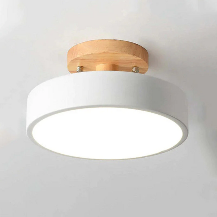 Stylish Modern LED Ceiling Lamp Bowlift
