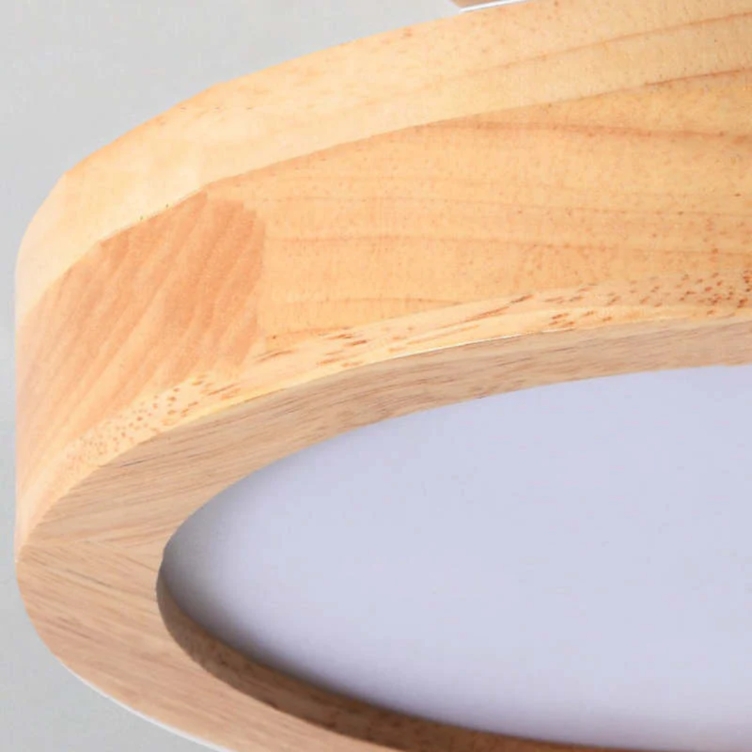 Stylish Modern LED Ceiling Lamp Bowlift