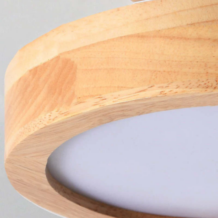 Stylish Modern LED Ceiling Lamp Bowlift