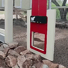 BowLift | Automatic Chicken Pen Hen Coop Poultry Door Opener