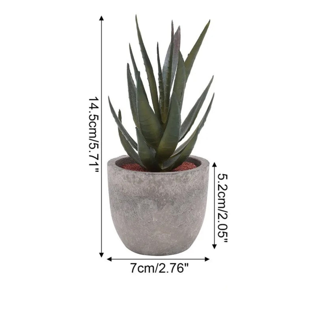 BowLift | Verdea Artificial Succulent Plant Decor