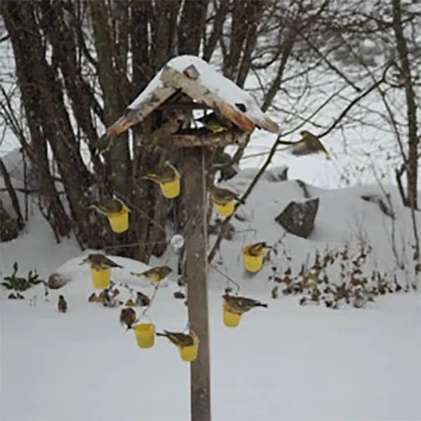 BowLift | Bird feeder station in ferris wheel design