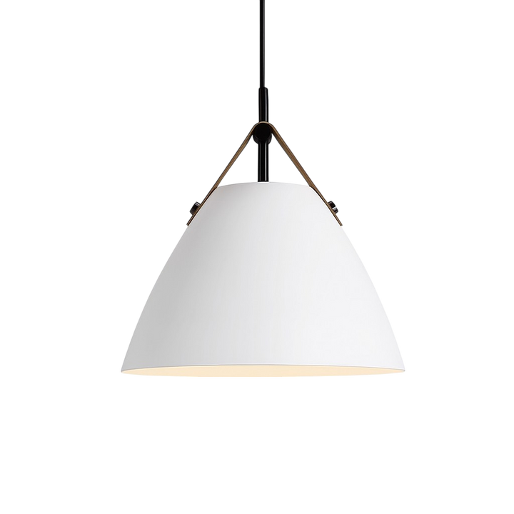 Scandinavian Metal Pendant Lamp with Color Accents and E27 LED Socket