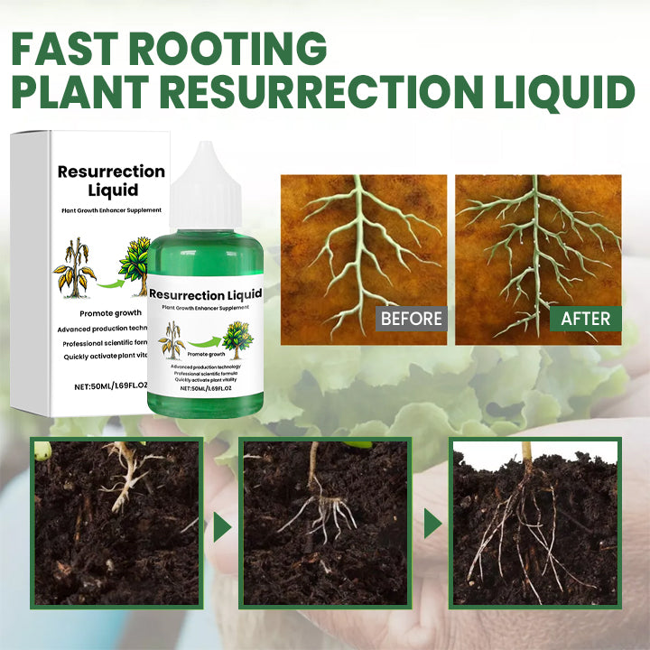 BowLift | PlantRevive | Give Life Back to Your Plants