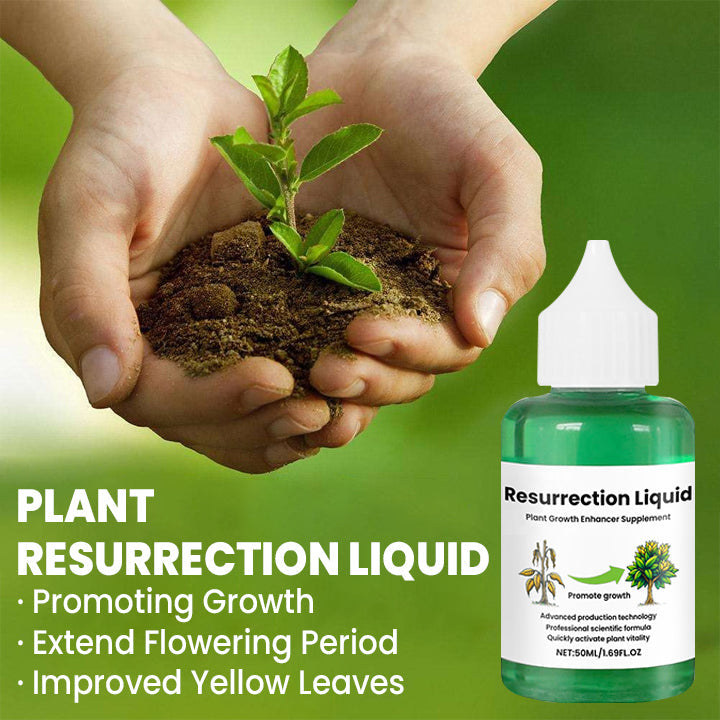 BowLift | PlantRevive | Give Life Back to Your Plants