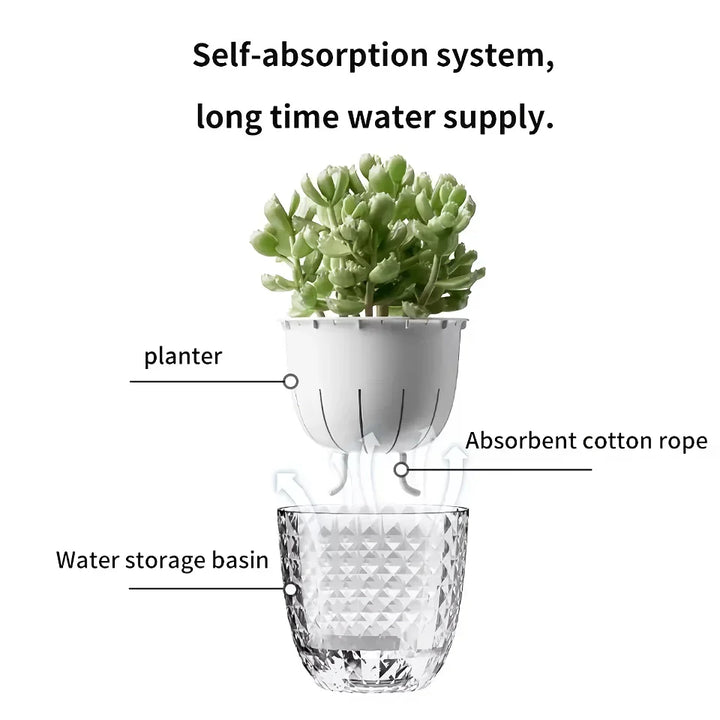 BowLift | Self-Watering Decorative Flowerpot with Cotton Rope