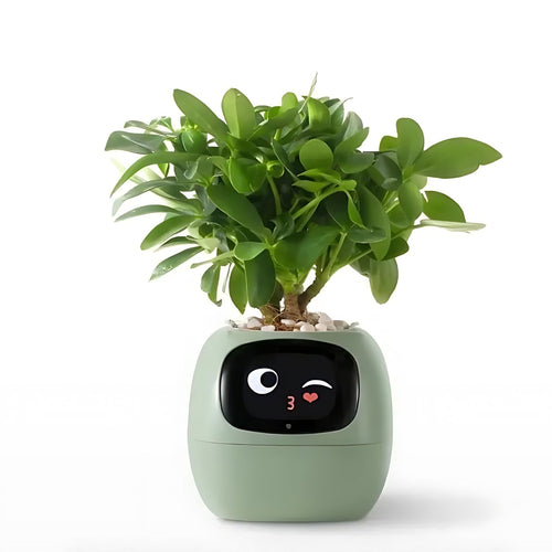 BowLift | Automatic Smart Flowerpot - GreenBuddy SmartPot