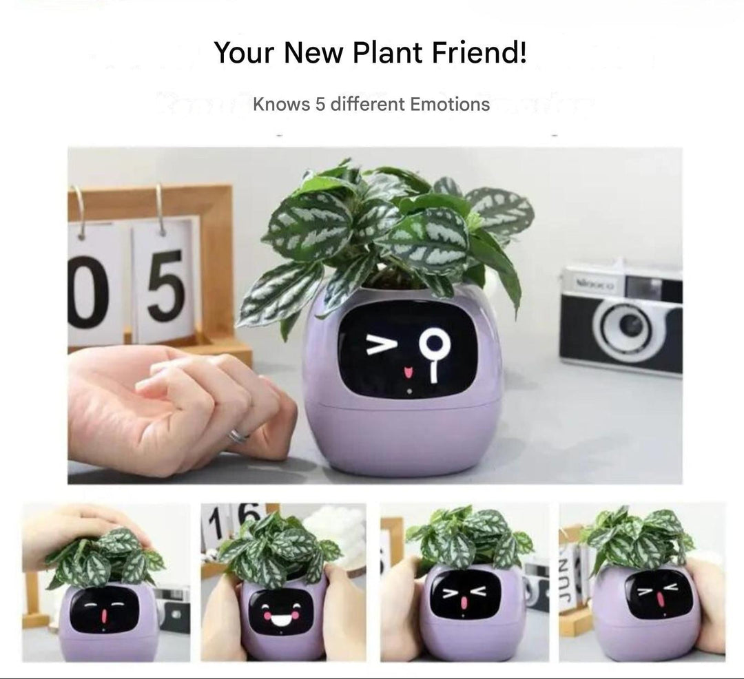 BowLift | Automatic Smart Flowerpot - GreenBuddy SmartPot