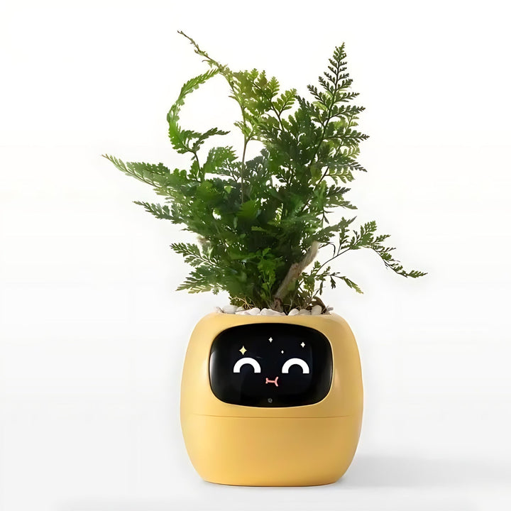 BowLift | Automatic Smart Flowerpot - GreenBuddy SmartPot