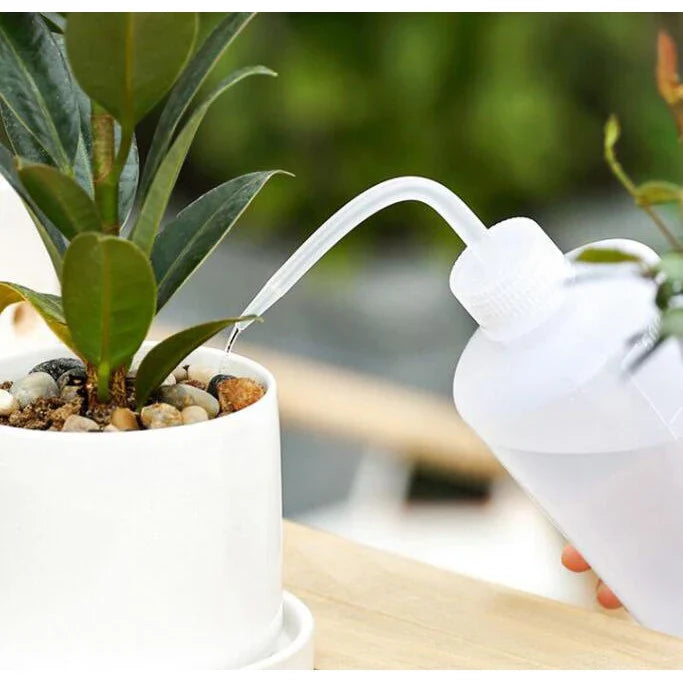 BowLift | Combination set for succulent planting tools – Practical set for care and planting