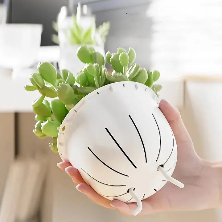 BowLift | Self-Watering Decorative Flowerpot with Cotton Rope
