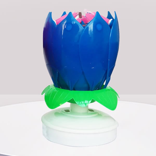 BowLift | 🎂Magic Flower Birthday Candle