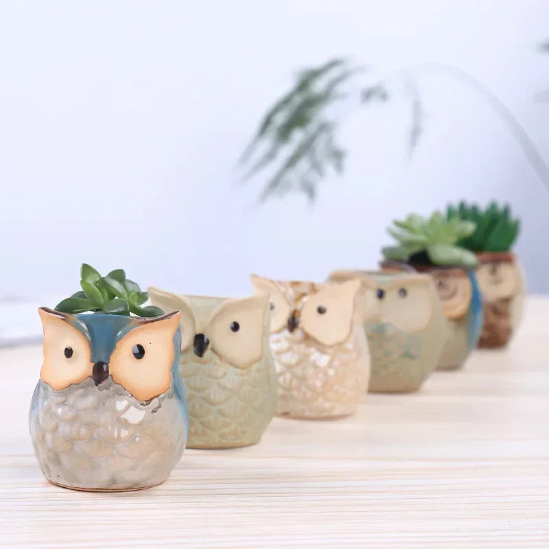 BowLift | Mini Owl Ceramic Plant Planter