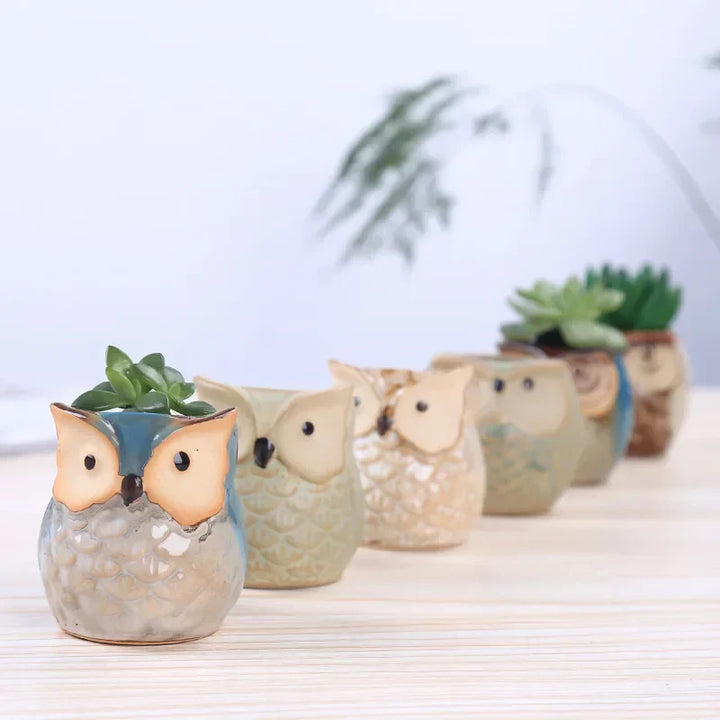 BowLift | Mini Owl Ceramic Plant Planter