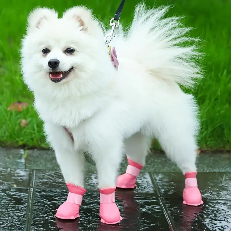 PawGuard •  Dog Waterproof Boots