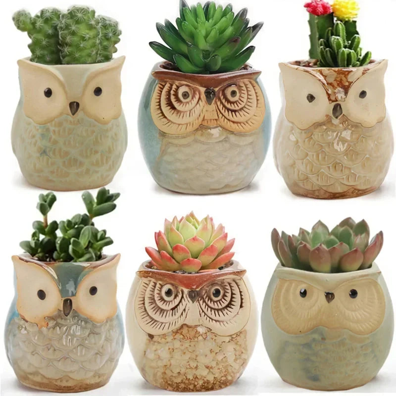 BowLift | Mini Owl Ceramic Plant Planter