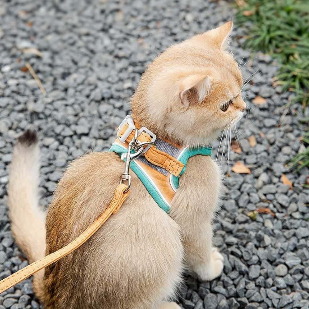 Cat Harness - Oscar Bowlift