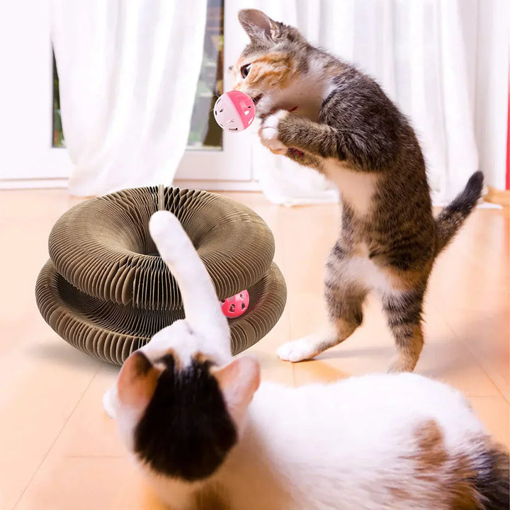 Active Fun for Your Cat – PurrPlay Bowlift