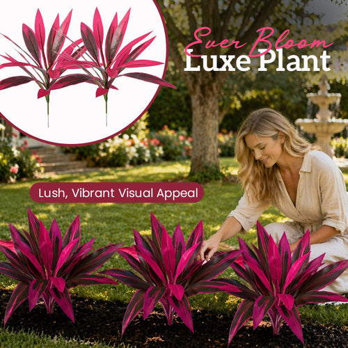 VerdoGlow — Vibrant freshness without effort that will transform your home forever | Bowlift