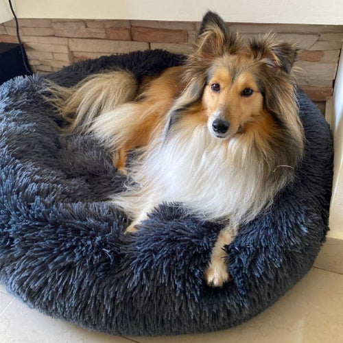 BowLift | Dog Bed Plush Orthopaedic Calming Pet Cushion