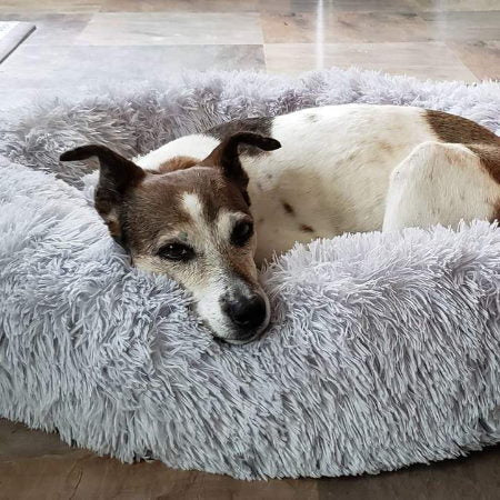 BowLift | Dog Bed Plush Orthopaedic Calming Pet Cushion