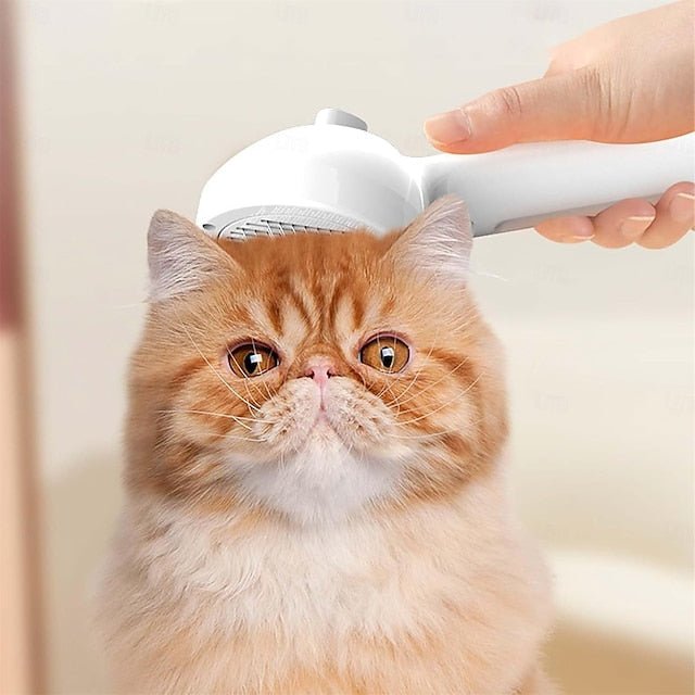 BowLift | PetGlow | Experience the radiant softness