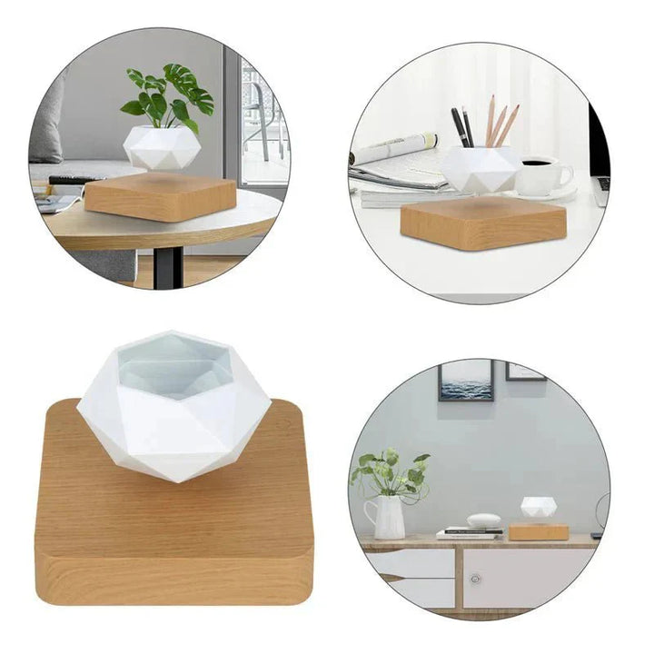BowLift | Anti-gravity plants - Astonish your space - Nature reinvented